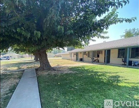 A tree is in front of a building with a walkway in front of it.