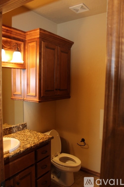 A bathroom with a toilet, sink, and wooden cabinets.