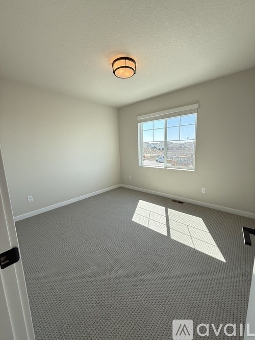 A room with a carpeted floor and two windows.