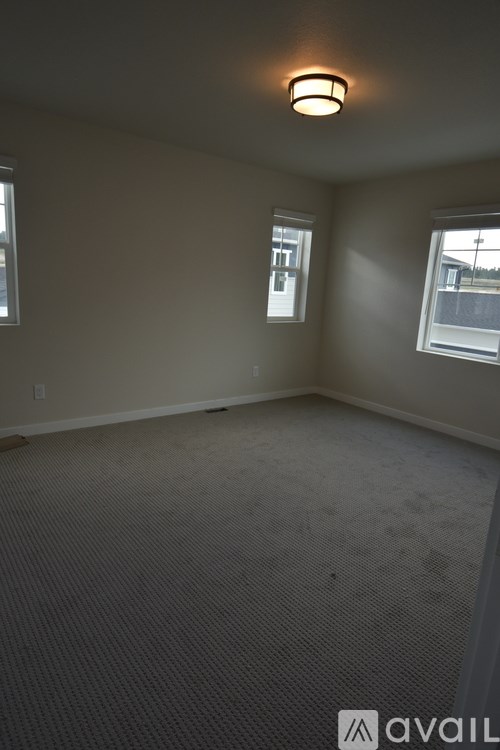 A room with a carpeted floor and two windows.