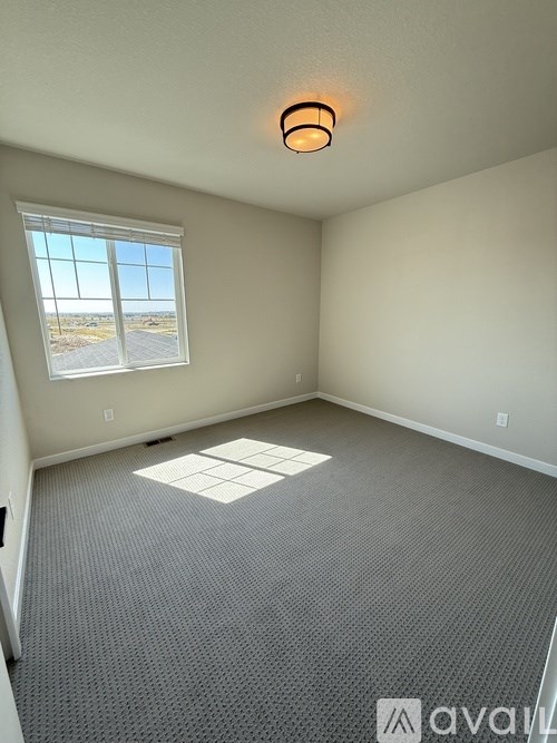 A room with a green and brown rug on the floor.