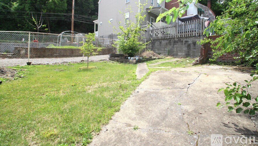 A backyard with a concrete path and a small tree.