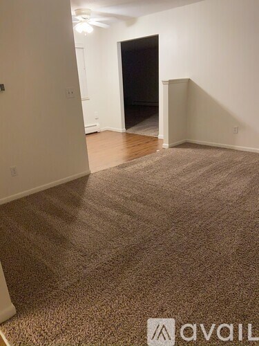 A room with a carpeted floor and a ceiling fan.