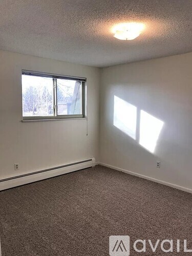A room with a carpeted floor and a window letting in sunlight.