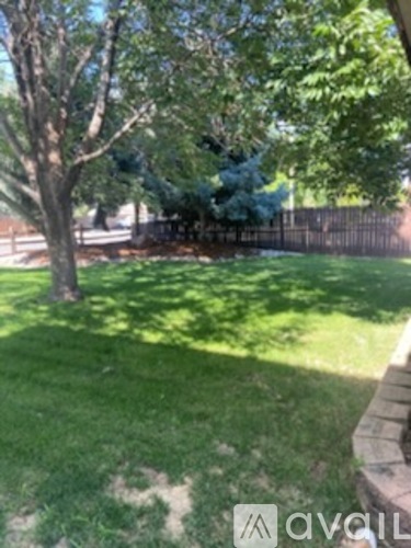 A tree in a yard with a fence in the background.