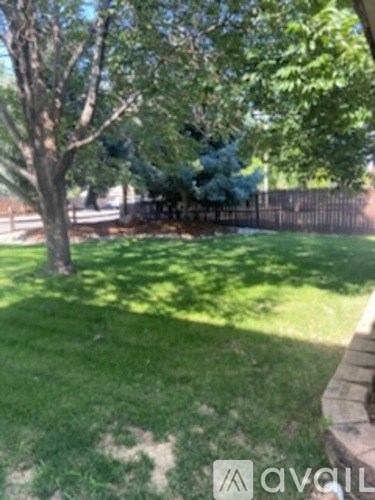 A tree in a yard with a fence in the background.