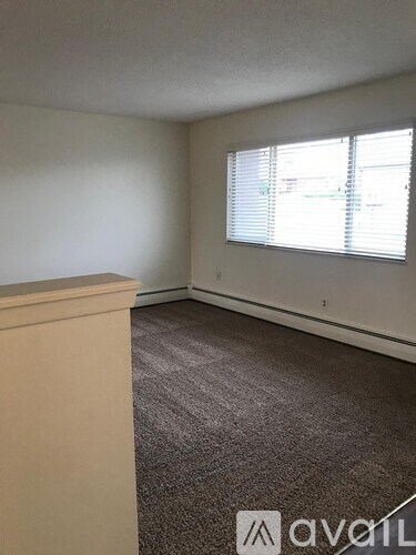 A room with a carpeted floor and a window with blinds.