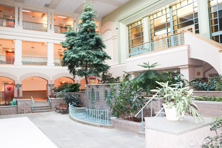 A large tree in a courtyard surrounded by plants.