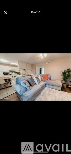 A living room with a grey couch and a white rug.