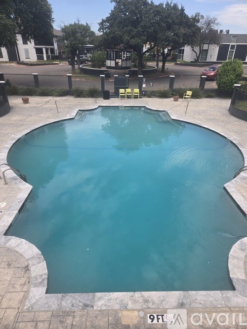 A small pool with a stone edge and a stone border.
