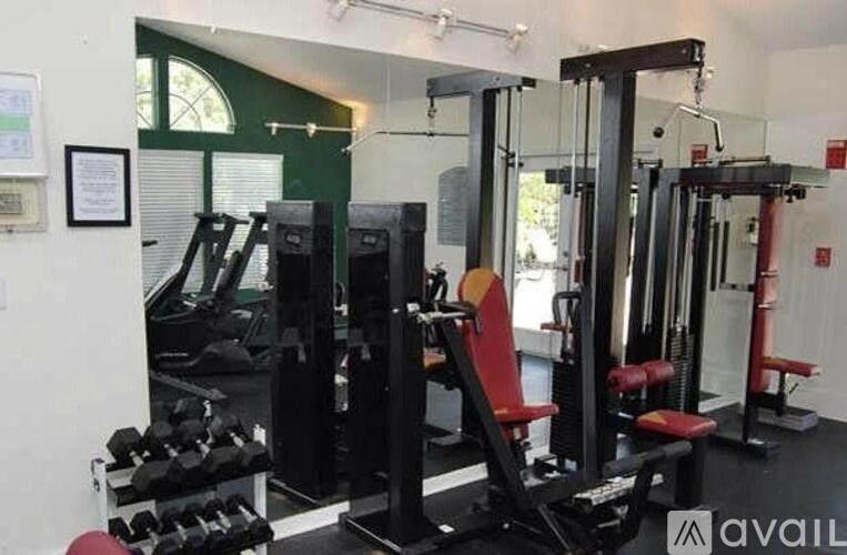 A gym with a variety of equipment including a squat rack, a leg press machine, and a bench press.