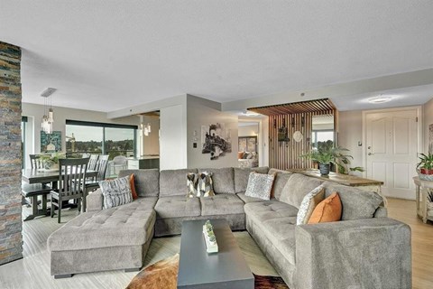 A living room with a grey couch and a coffee table.