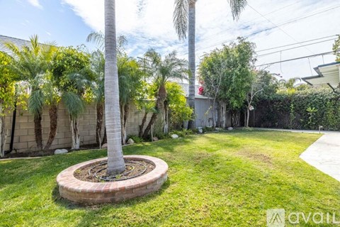 A backyard with a palm tree and a circular flower bed.