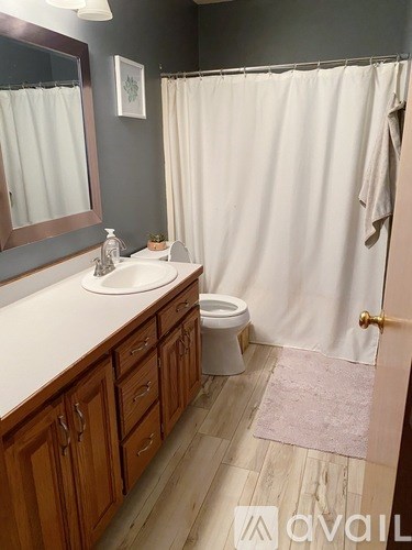 A bathroom with a toilet, sink, and shower curtain.