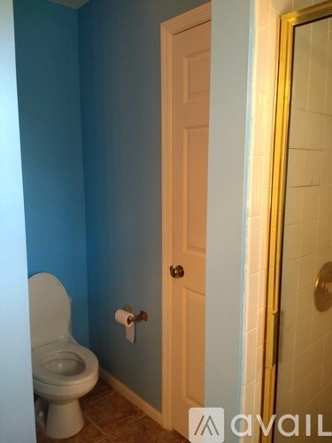 A bathroom with blue walls and a white toilet.