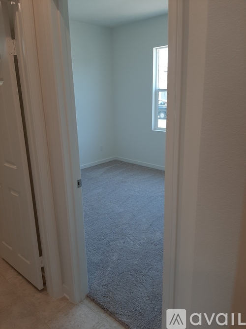 A room with a carpeted floor and a door.