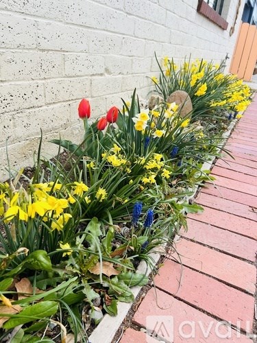 A flower bed with red tulips, yellow daffodils, and blue delphiniums sits on a brick walkway.
