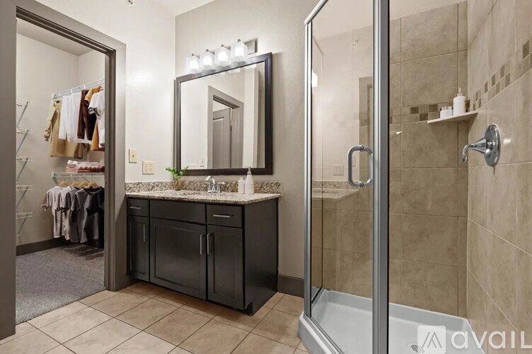 A bathroom with a walk-in shower and a vanity with a mirror above it.