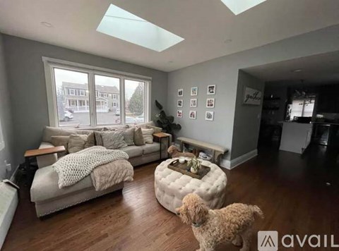 A dog is standing in a living room with a couch and a coffee table.