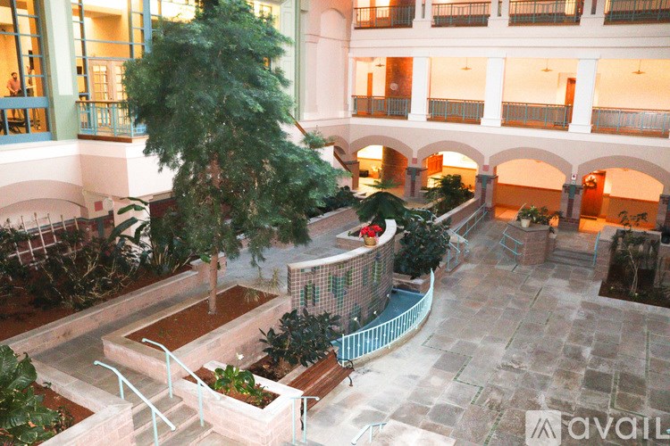 A courtyard with a tree in the middle.