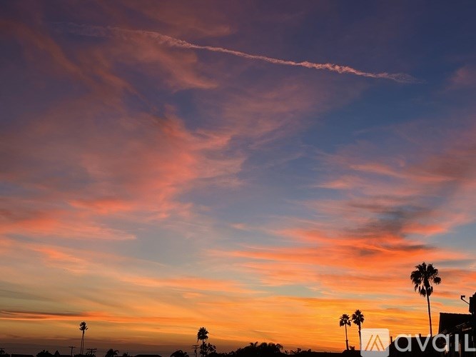 A beautiful sunset with palm trees silhouetted against a vibrant sky.