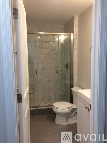 A bathroom with a toilet, a walk-in shower, and a white cabinet.