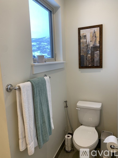 A white toilet in a bathroom with a towel rack and a picture on the wall.