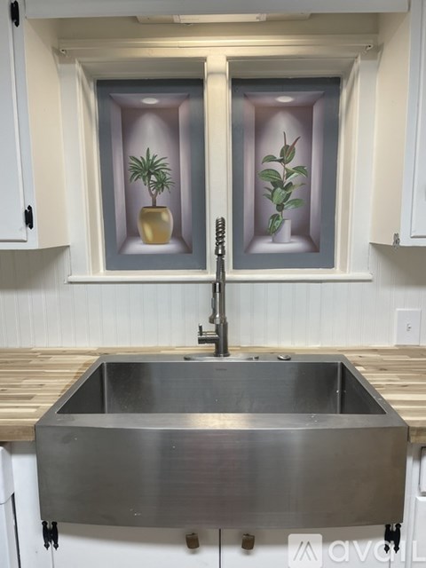 A kitchen with a stainless steel sink and two framed pictures of plants on the wall.