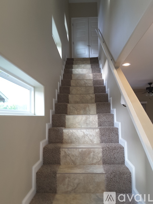 A staircase with a carpeted runner and white risers.