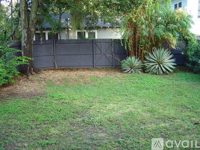 A backyard with a fence and a tree.