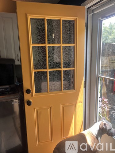A dog is looking out of a yellow door.
