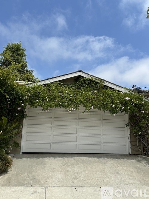 A white garage door with a white wall and a white roof.
