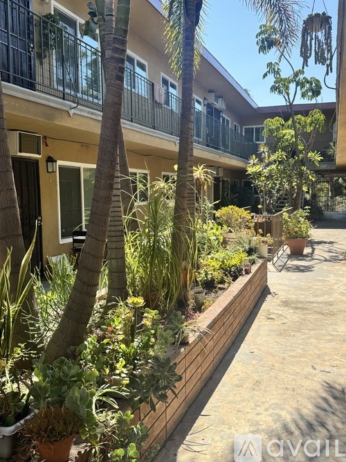 A balcony with a railing and a few plants.