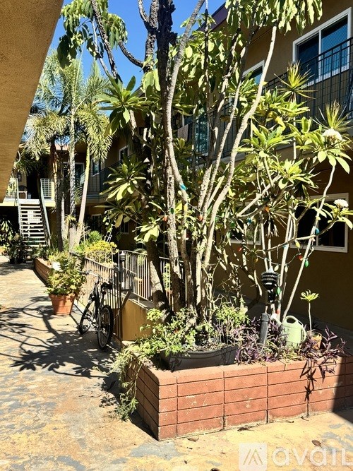 A garden with a variety of plants and a bicycle.