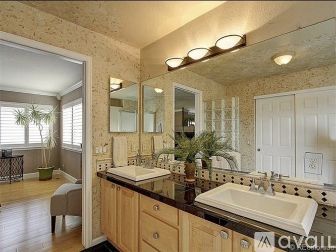 A bathroom with a sink, mirror, and a potted plant.