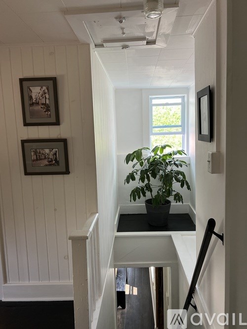 A hallway with a potted plant and pictures on the wall.