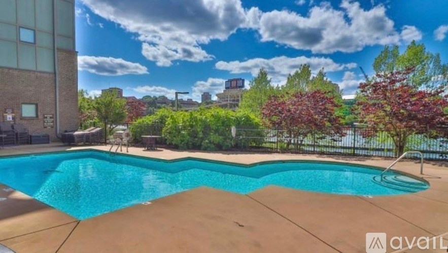 A swimming pool surrounded by a fence and trees.