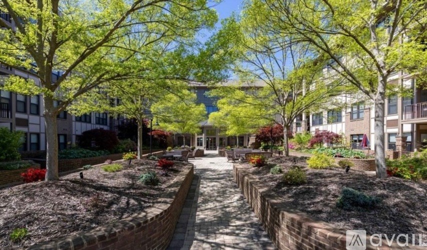 A tree-lined walkway leads to a building.