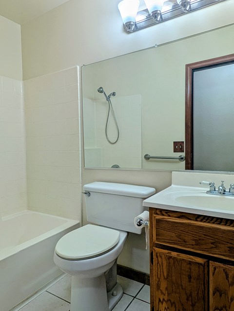 A white toilet sits next to a white bathtub in a bathroom.