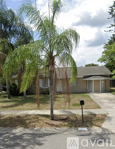 A palm tree in front of a house with a mailbox.