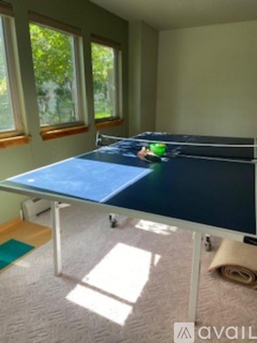 A ping pong table with a person playing in the middle.