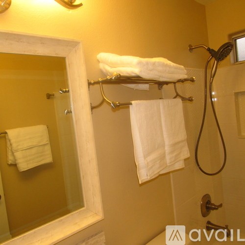 A bathroom with a mirror, towel rack, and shower head.