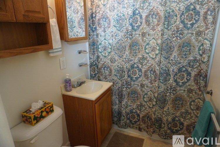 A bathroom with a patterned shower curtain and a wooden cabinet.