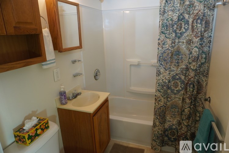 A bathroom with a white sink and a floral shower curtain.