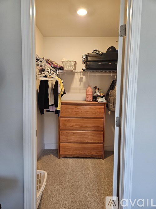A small closet with a dresser and a white door.