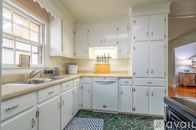 A kitchen with white cabinets and a green and white patterned rug.