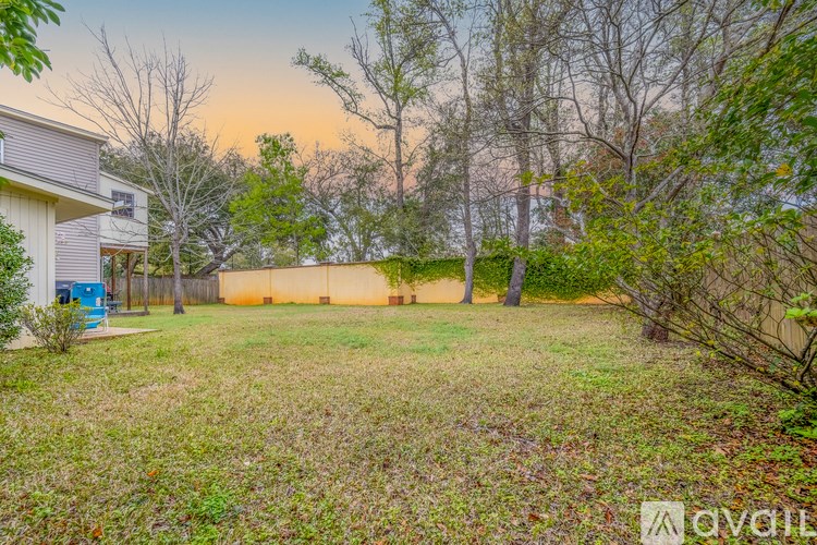 A backyard with a fence and trees.