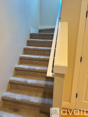 A staircase with a beige carpeted runner and white handrails.