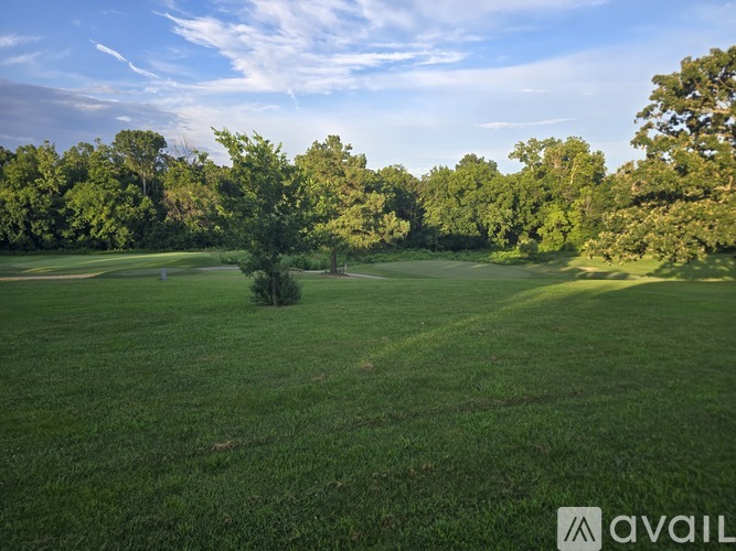 A grassy field with trees in the background and a clear blue sky.