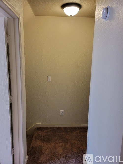 A hallway with a carpeted floor and a white door.